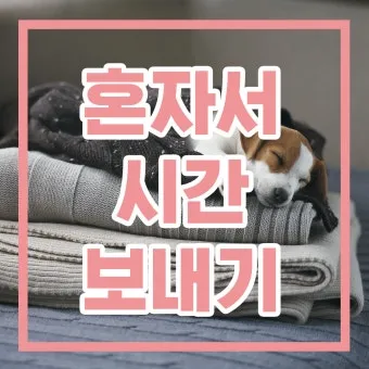 퇴근 후 2시간 혼자 노는 법 모음zip_15