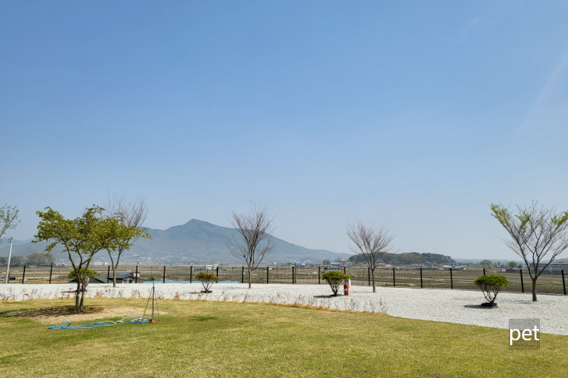 경기-인천-어썸캠핑장-예약-방법-애견-동반-가격-주소-시간-후기