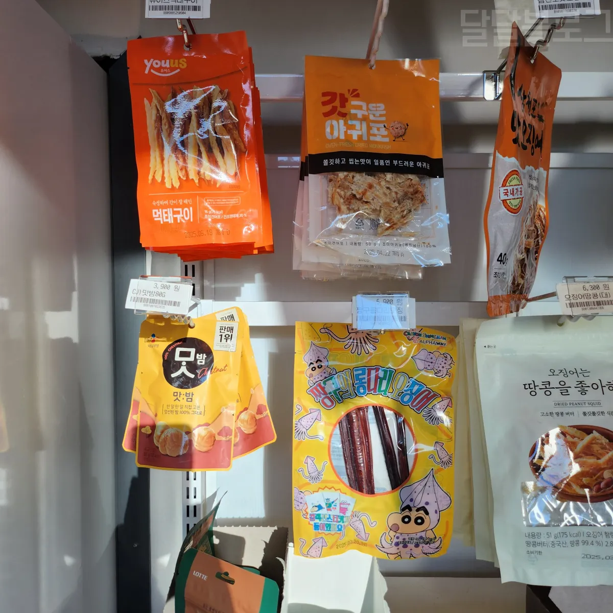 정선-파크로쉬-편의점-안주