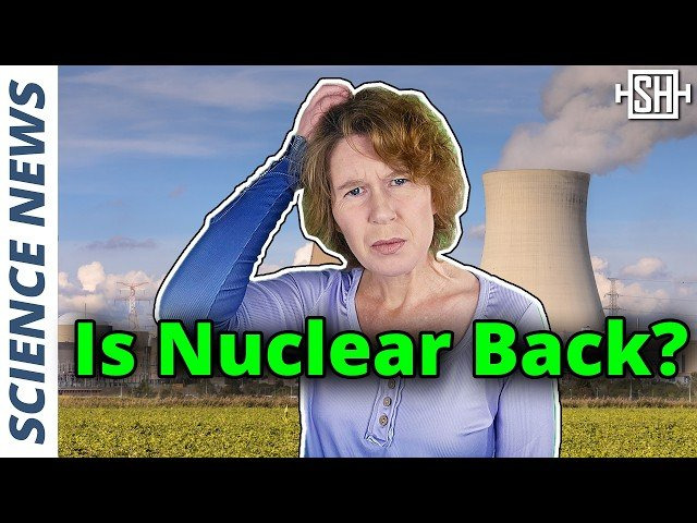 Why Restarting Nuclear Plants Might Be a Huge Mistake