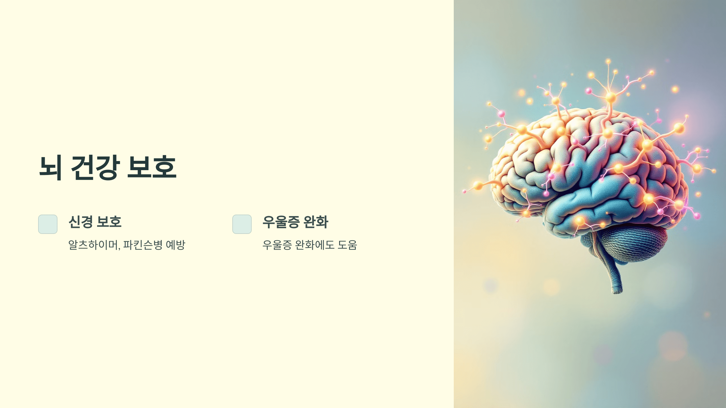 울금 사진입니다.