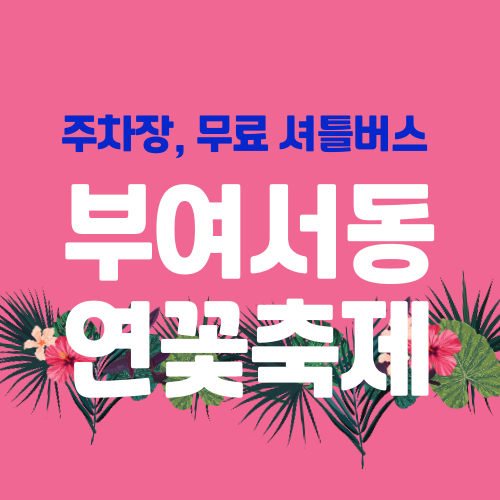 부여서동연꽃축제