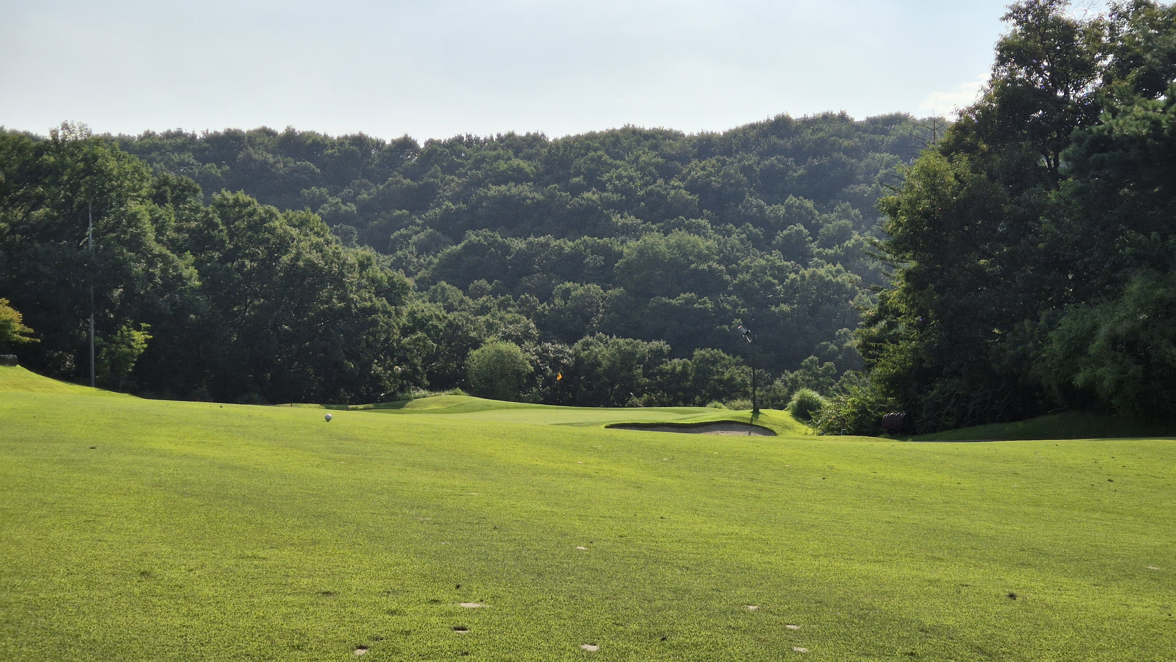 골프존카운티 안성H