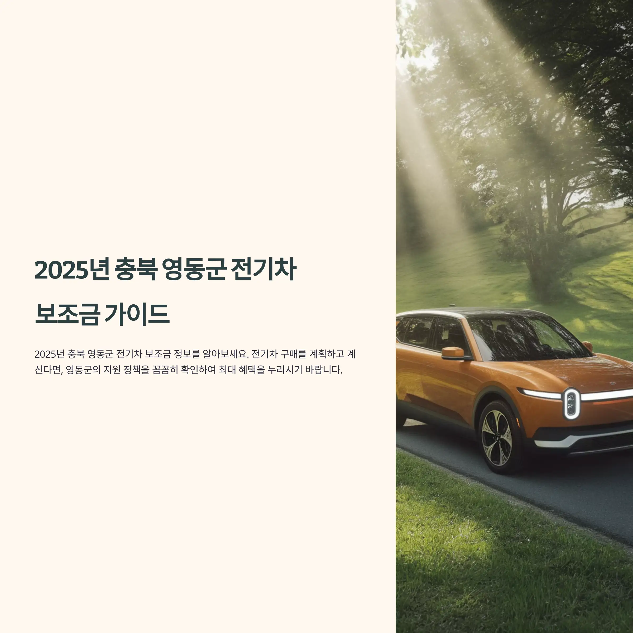 2025년 충북 영동군 전기차 보조금