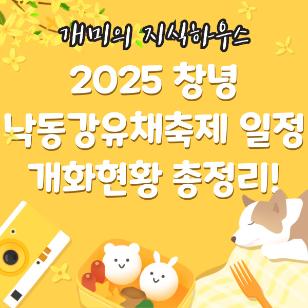 2025창녕 낙동강유채축제 일정