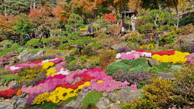 단풍명소_화담숲_하경정원