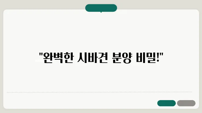 시바견 분양 조건