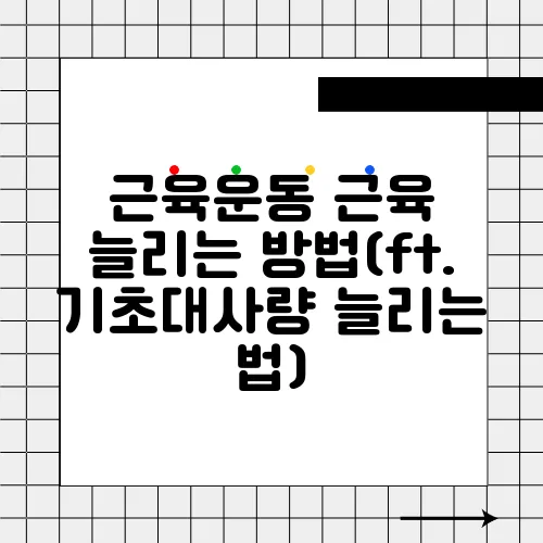 근육운동 근육 늘리는 방법(ft. 기초대사량 늘리는 법)