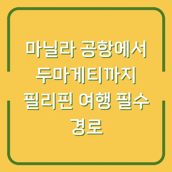 마닐라 공항에서 두마게티까지 필리핀 여행 필수 경로