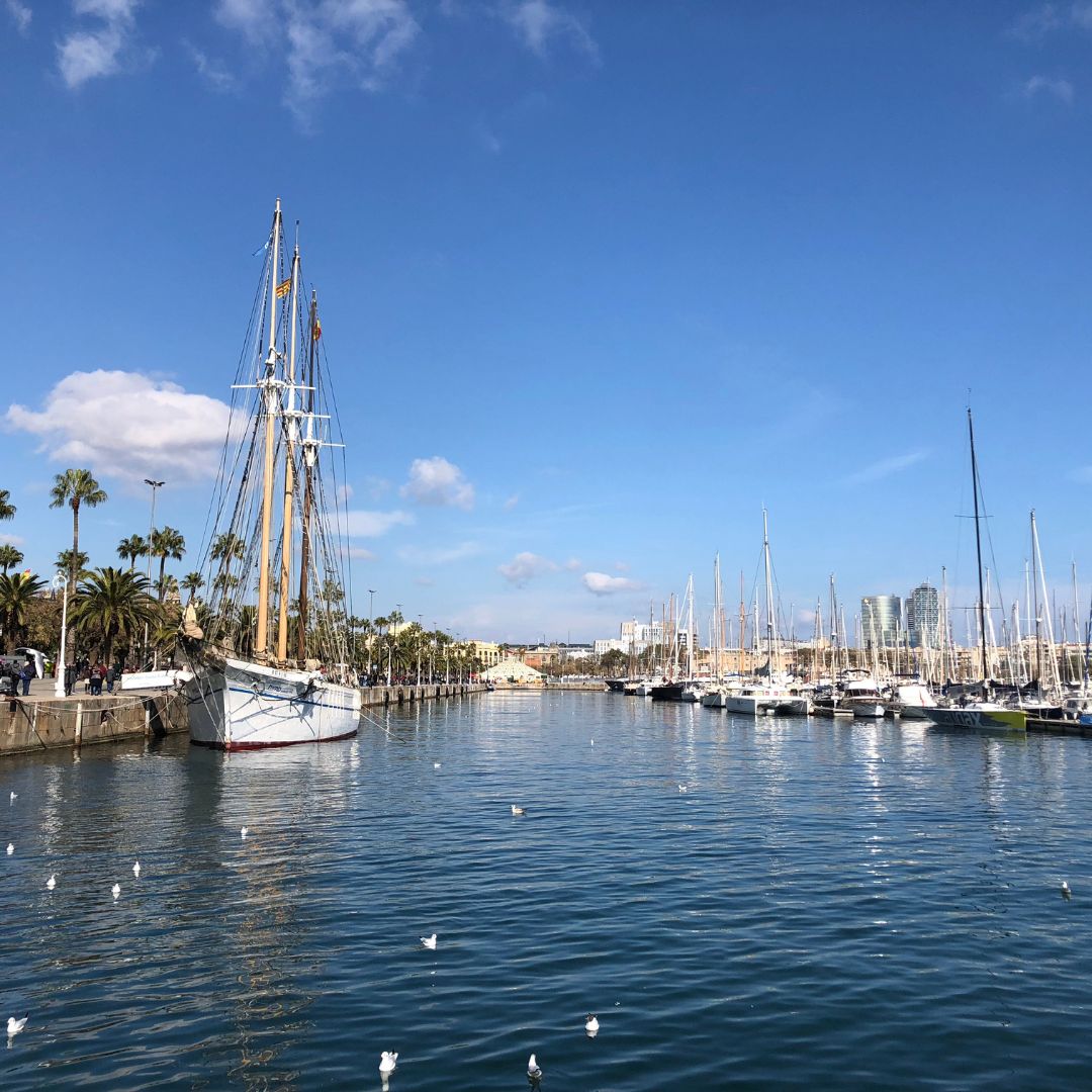 스페인 보케리아 시장 투어 쿠킹클래스