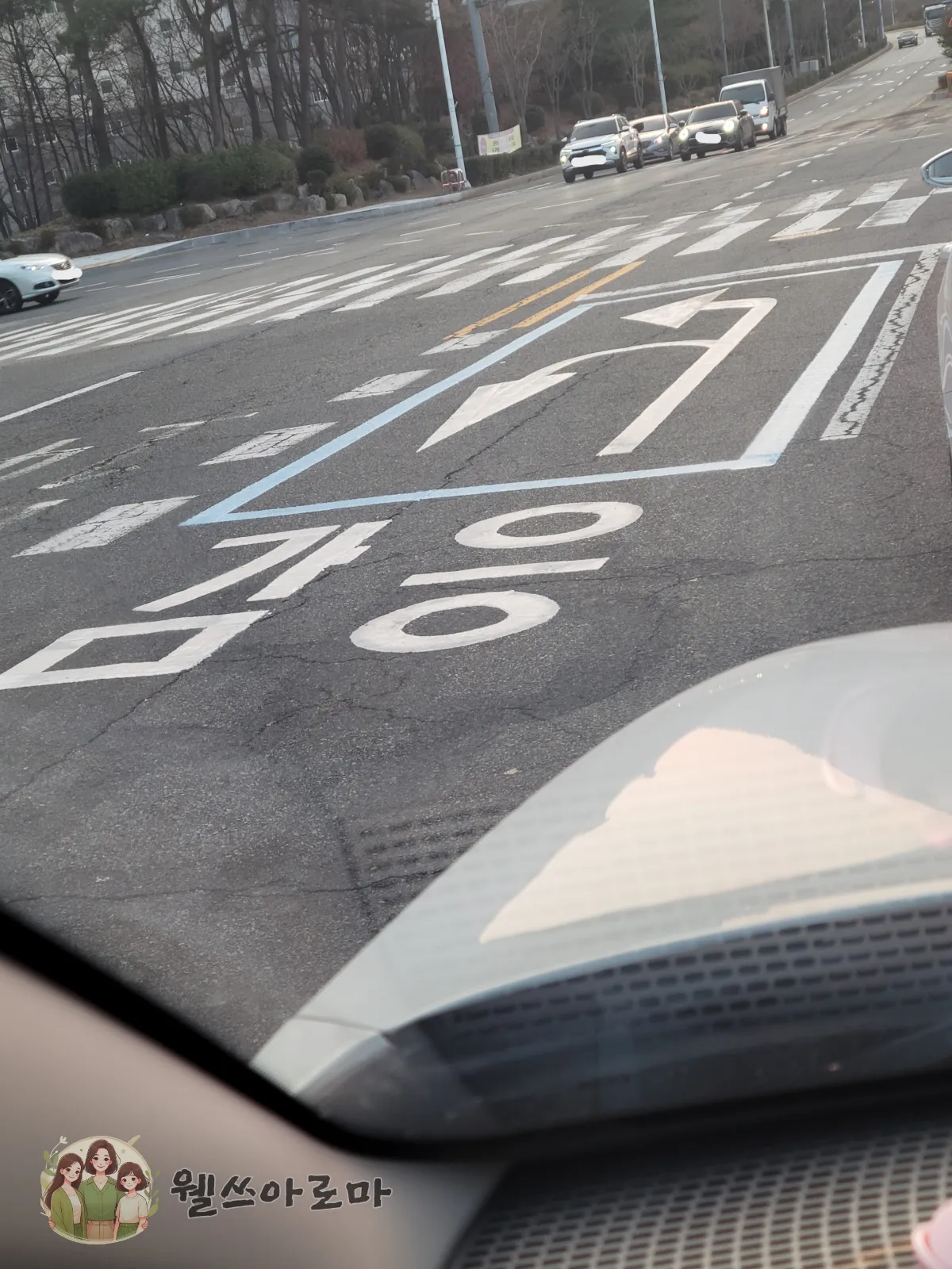 감응차선사진