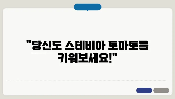 스테비아 토마토 모종