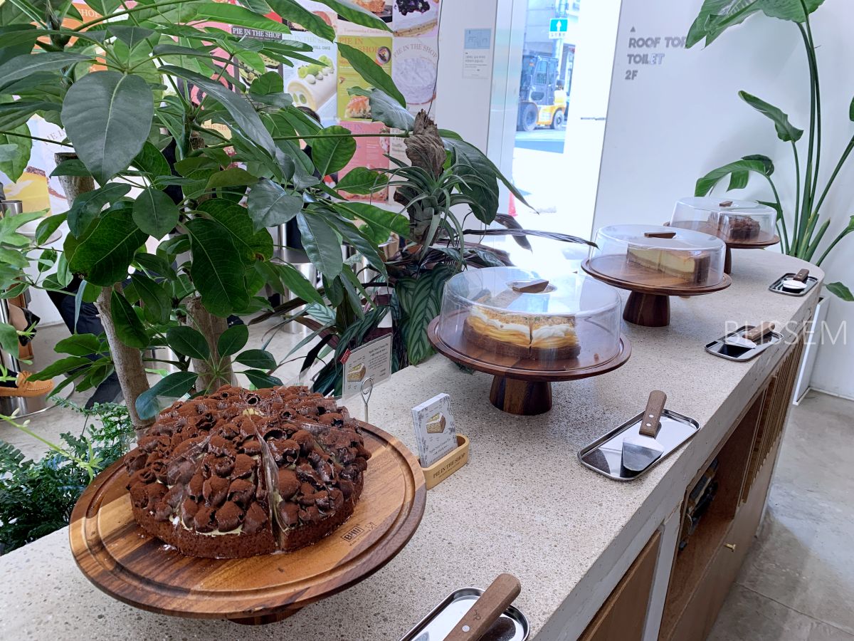 삼각지-카페-파이샵-파이가게-디저트맛집-파이인더샵-식물원-식물