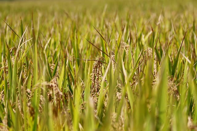 스마트 센서를 활용한 식량 낭비 감소 전략