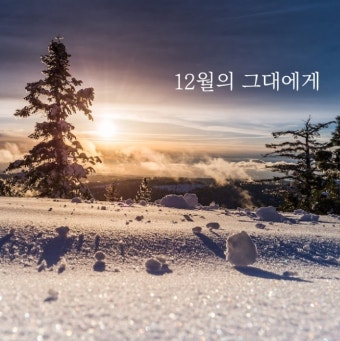 연말연시 인사말 어떤게 좋을까?