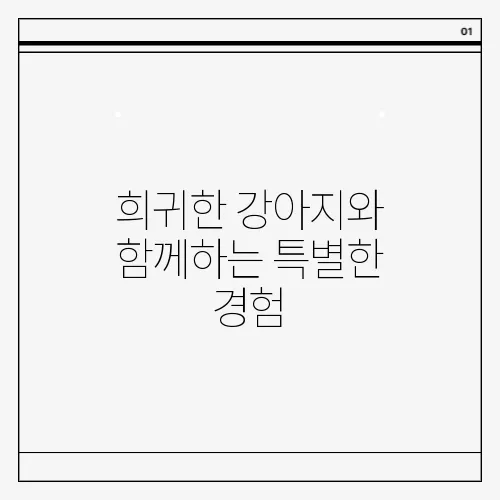 희귀한 강아지와 함께하는 특별한 경험