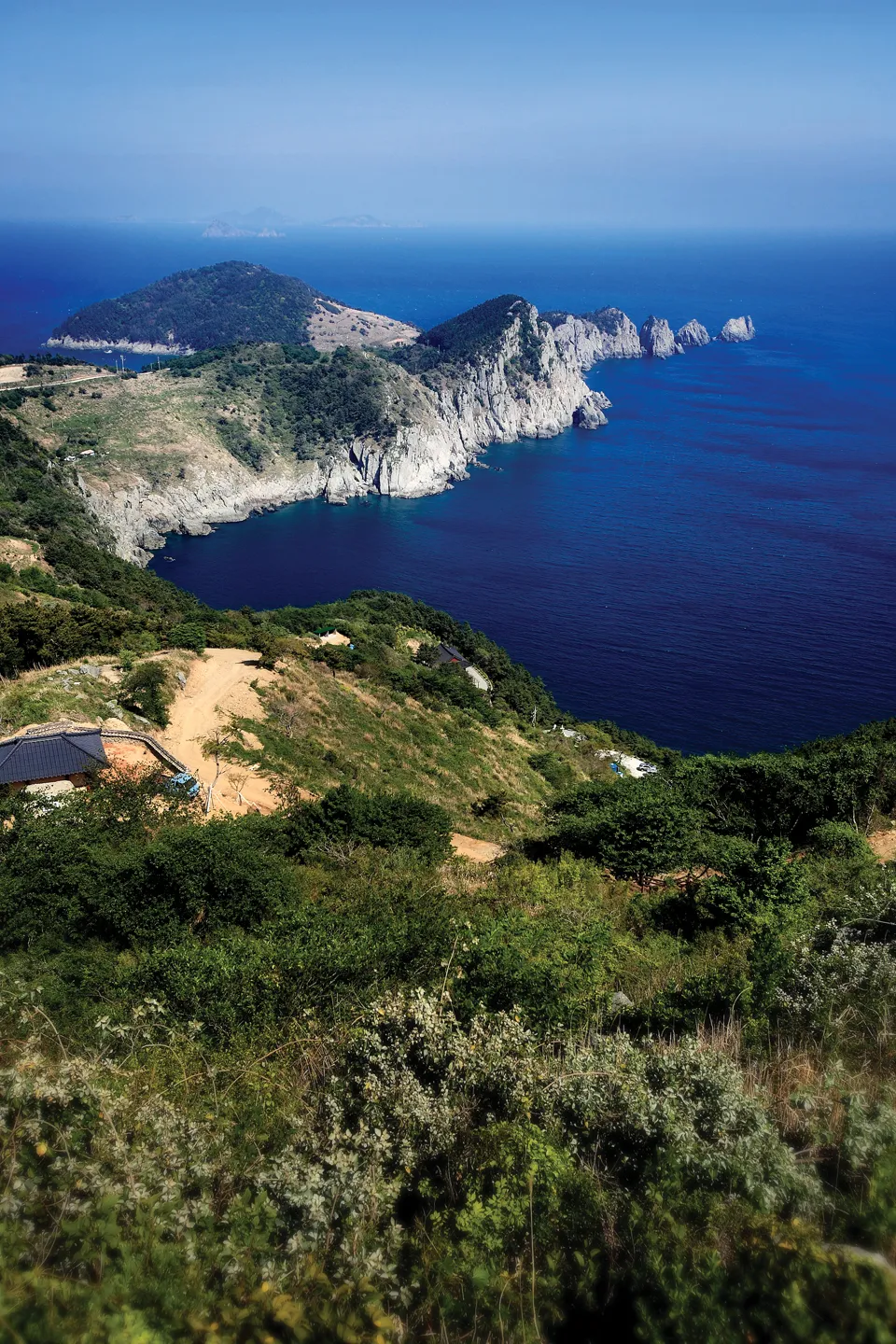 통영 연화도 수국 꽃길 산책 코스와 최적 관람 시기_3