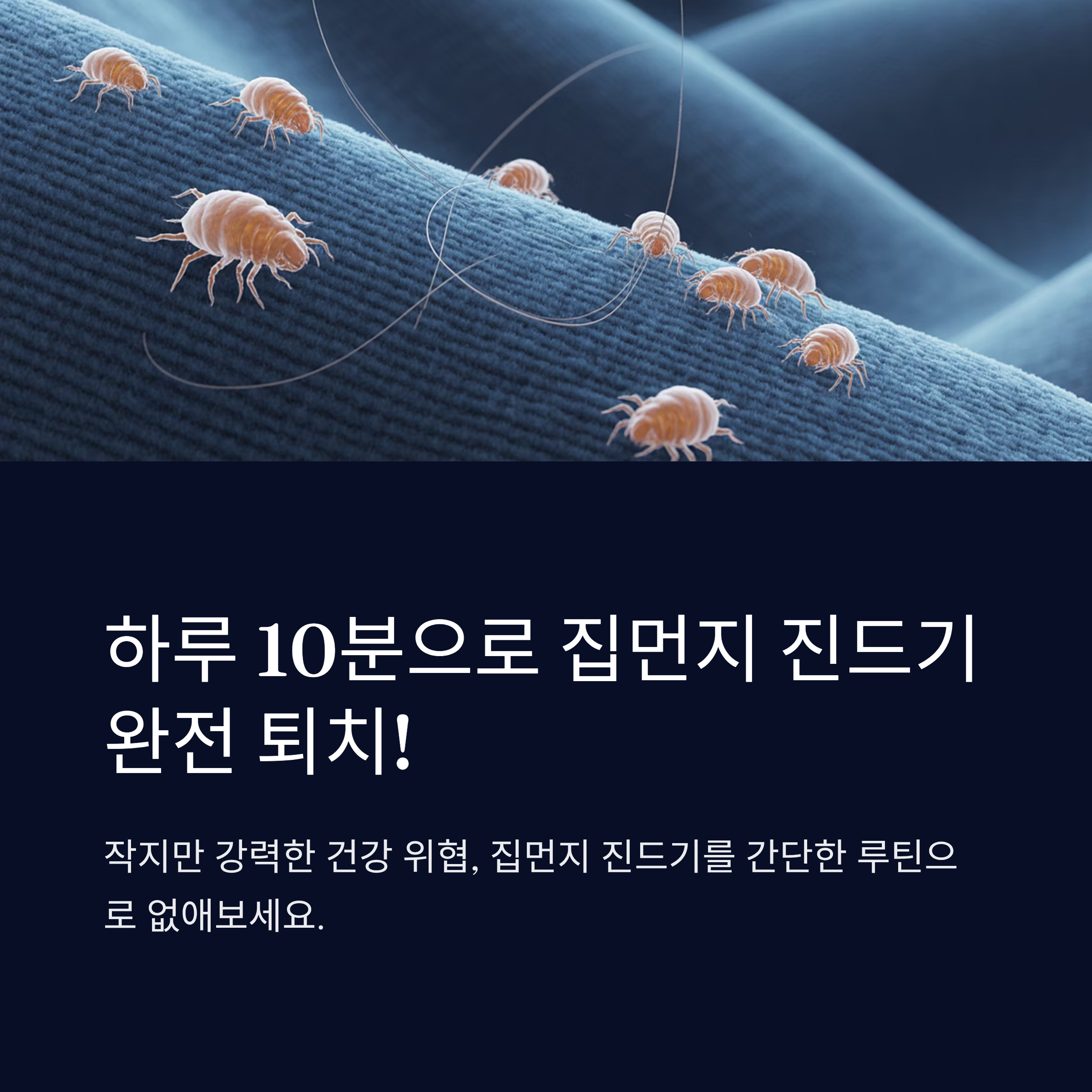 하루 10분이면 충분! 집먼지 진드기 없애는 법