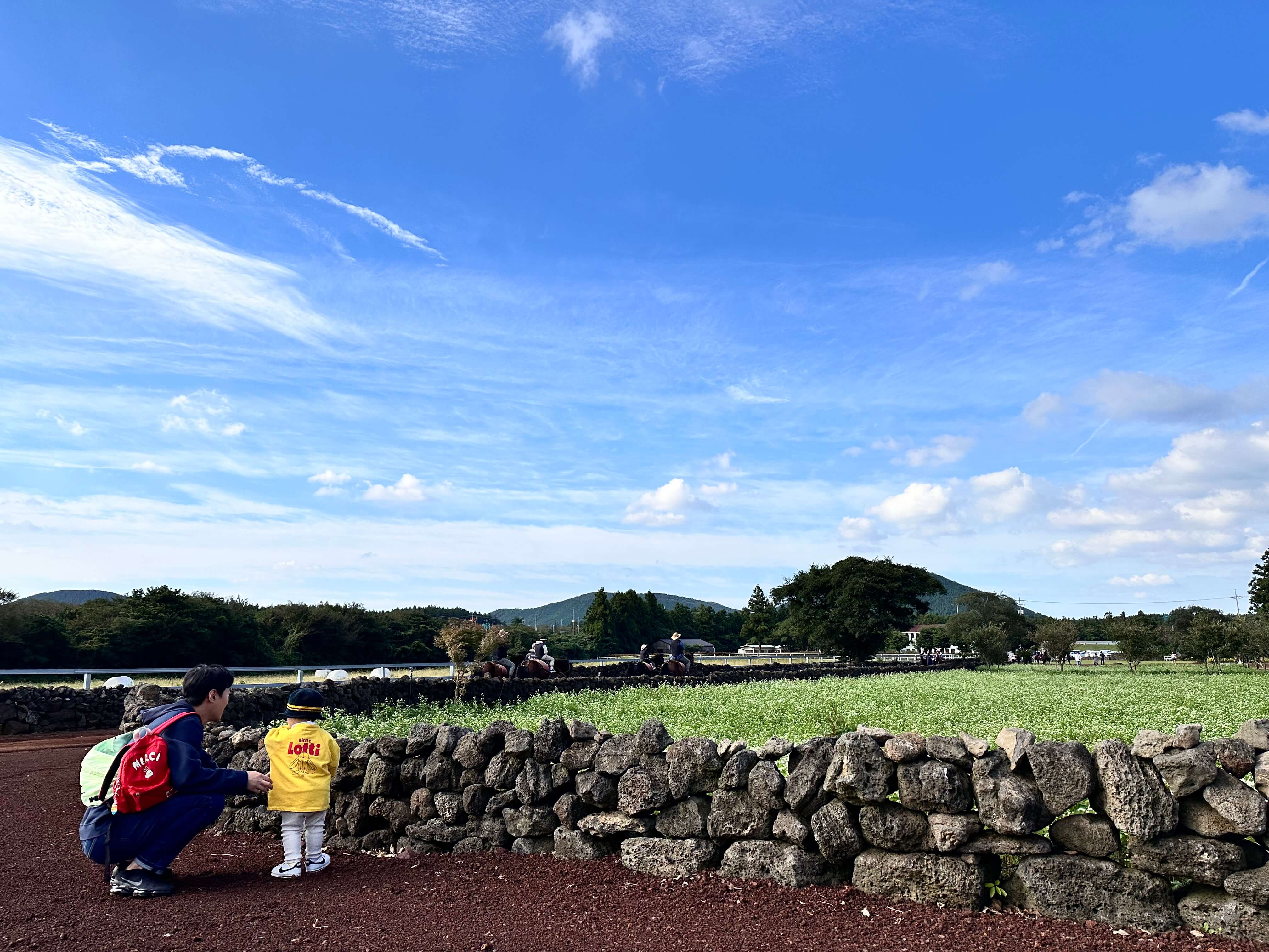 가을 아기와 함께 제주도 여행 목장카페 밭디