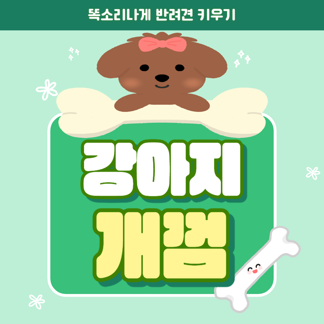 강아지 치석제거용 개껌 급여방법