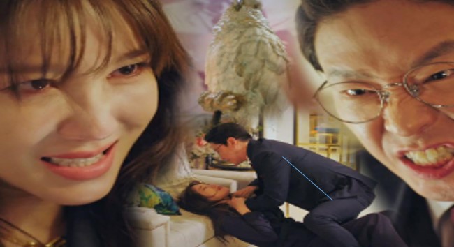 펜트하우스 최근줄거리