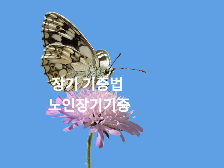 노인장기기증