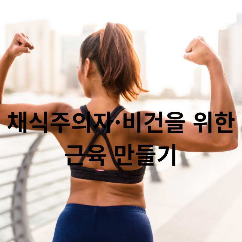 식물성 단백질 식품 총정리