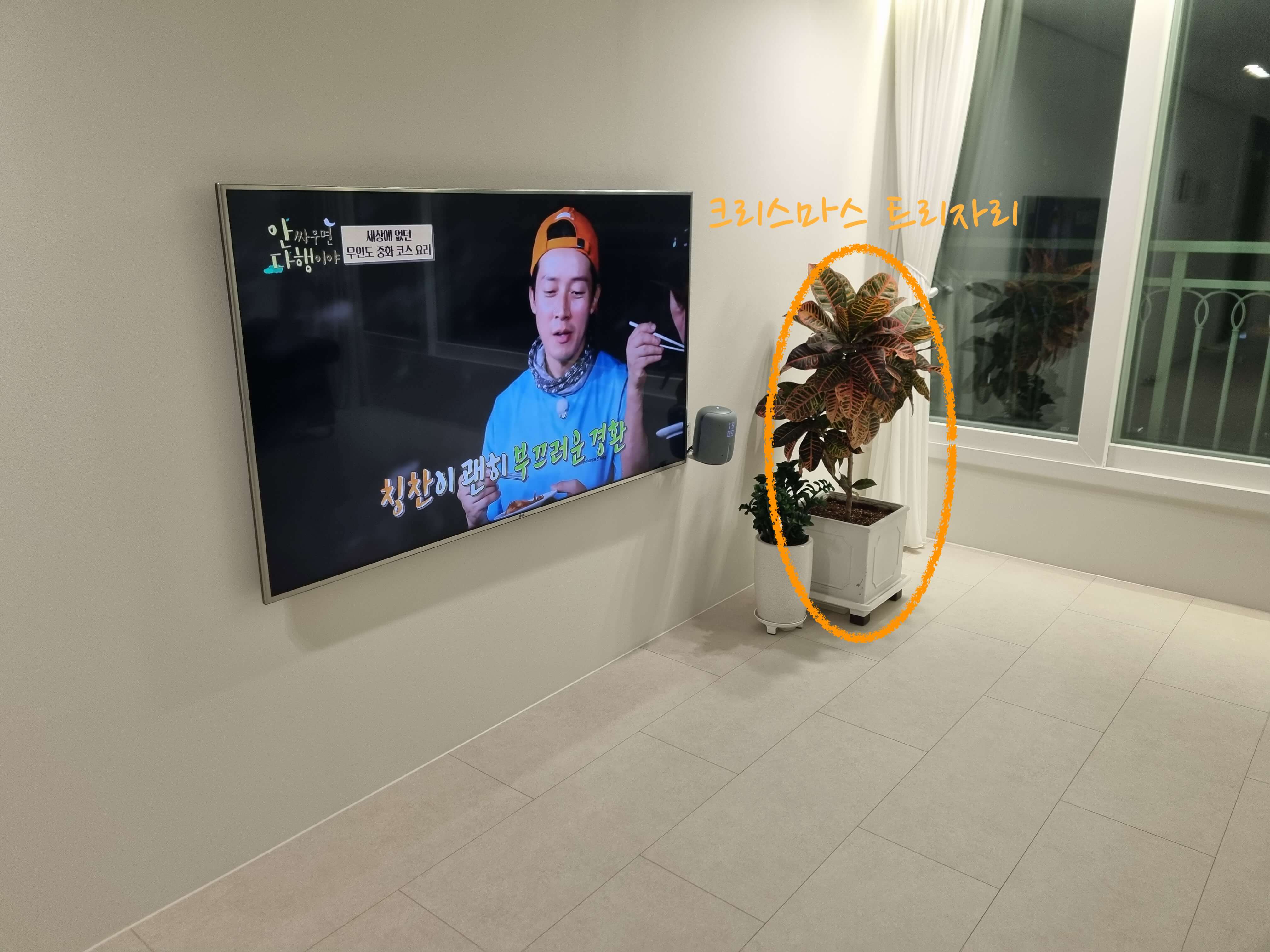 크리스마스 트리 자리