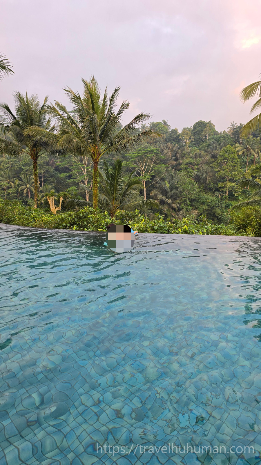 Padma Ubud resort swimming pool 파드마 우붓 리조트 수영장