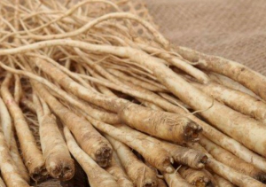 도라지 먹는 법