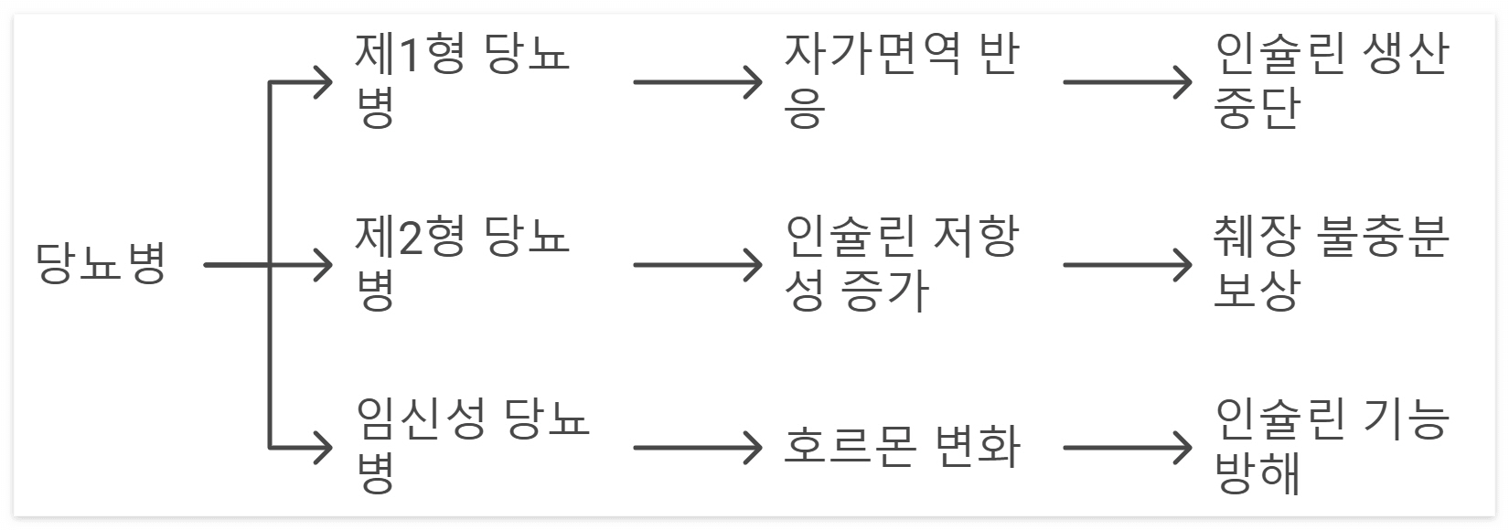 당뇨병-발생-원인-설명-이미지