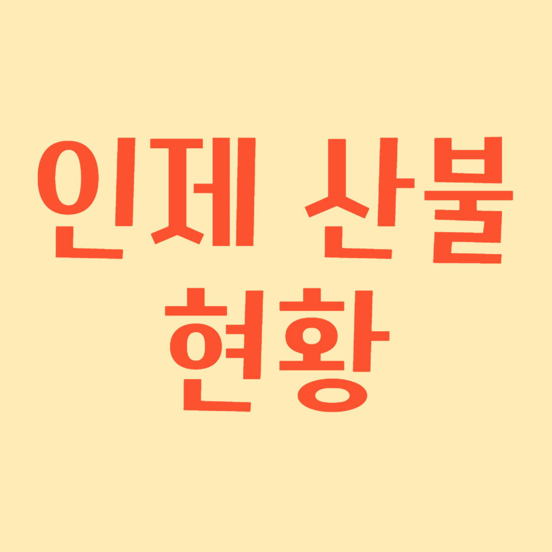 인제 산불