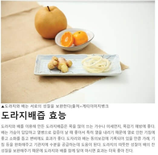 도라지 배즙의 효능과 복용 방법, 주의 사항