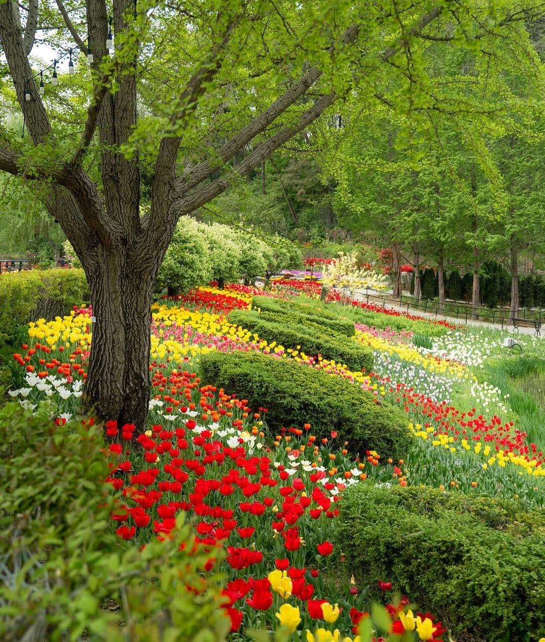 [충남 논산]사계절 내내 머물고 싶은 곳, 피나클랜드 수목원 이야기