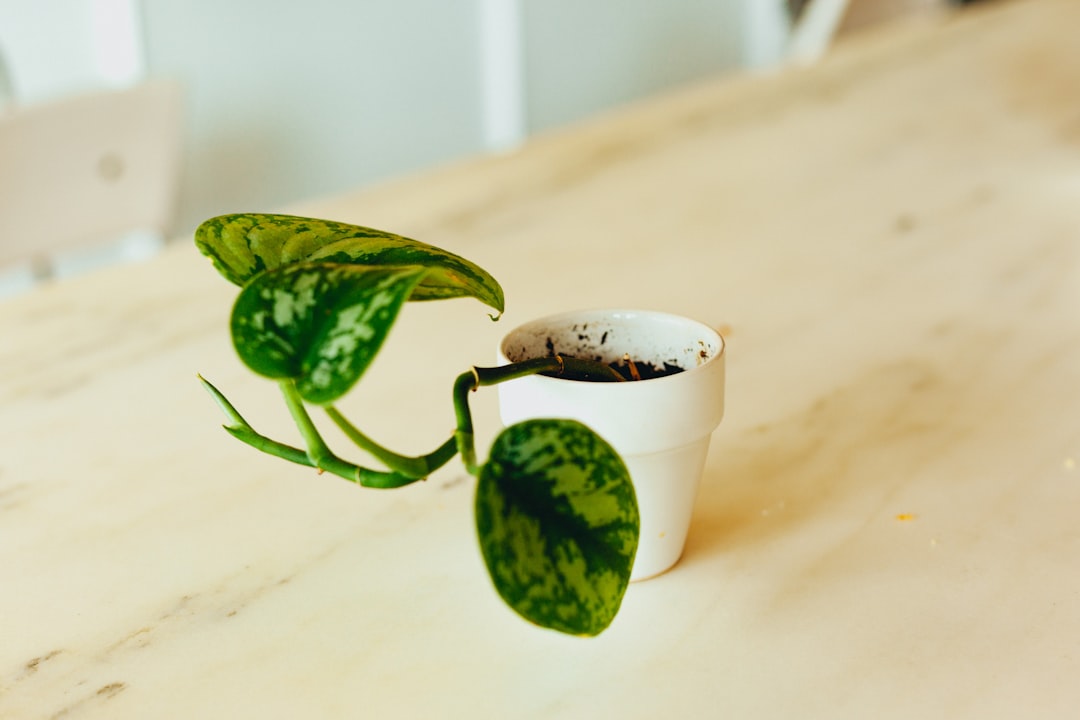 “Planting”