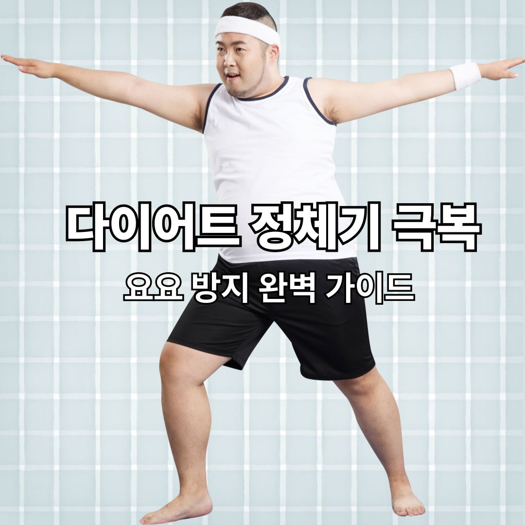 2025년 최신! 다이어트 정체기 극복 &amp; 요요 방지 완벽 가이드
