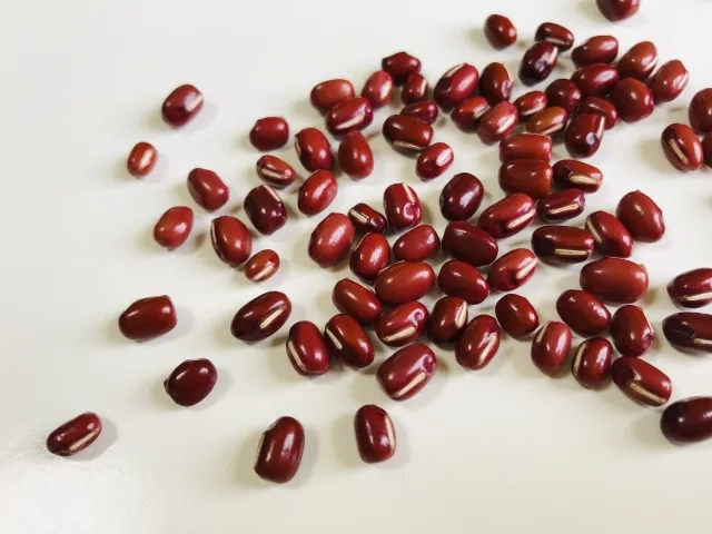 팥죽 소화에 도움