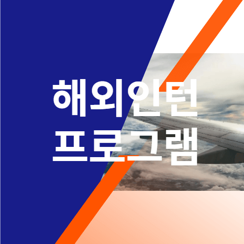 해외인턴-프로그램