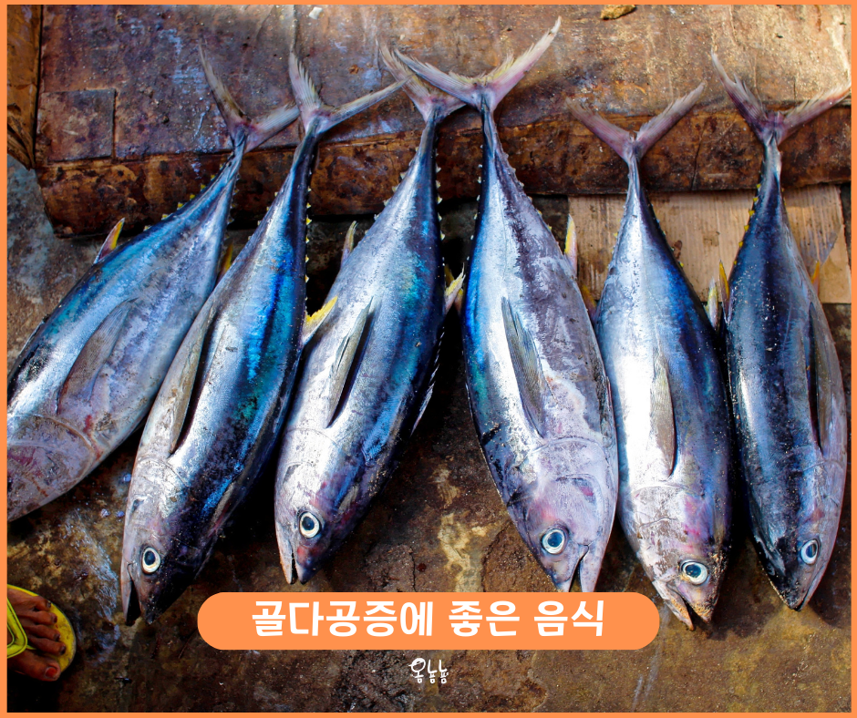 골다공증에 좋은 음식