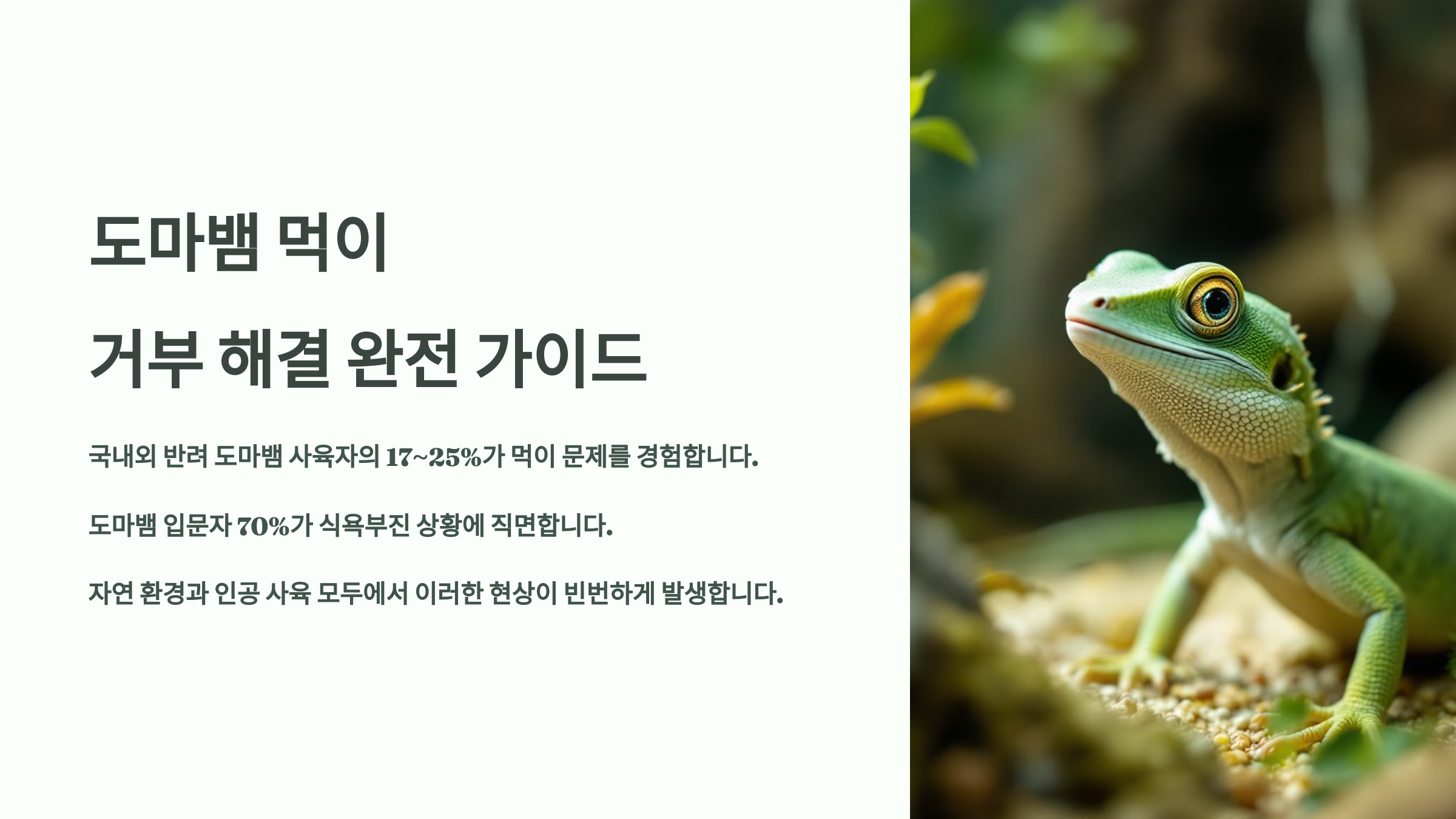 도마뱀 먹이 거부 해결 완전 가이드: 행동·환경 점검