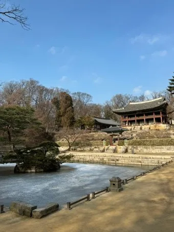 창경궁 예약 탐방 근처 맛집 10선_11
