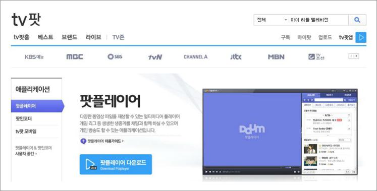 다음팟 플레이어