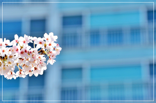 주일 예배 대표 기도문 4월 첫째 주