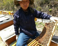 서암벌꿀양봉장