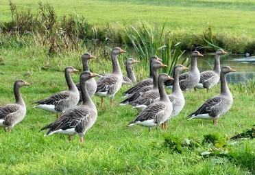 입춘대길 붙이는 시간 방법