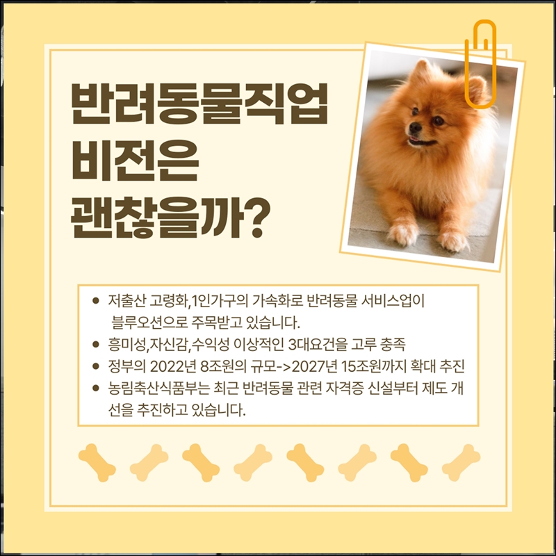 세종애견미용학원