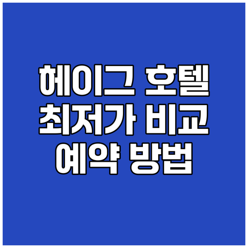 헤이그 호텔 가격 비교 완전 정복!