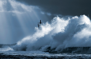 기후 행동의 심리학: 왜 우리는 변화 앞에 행동하지 않는가?