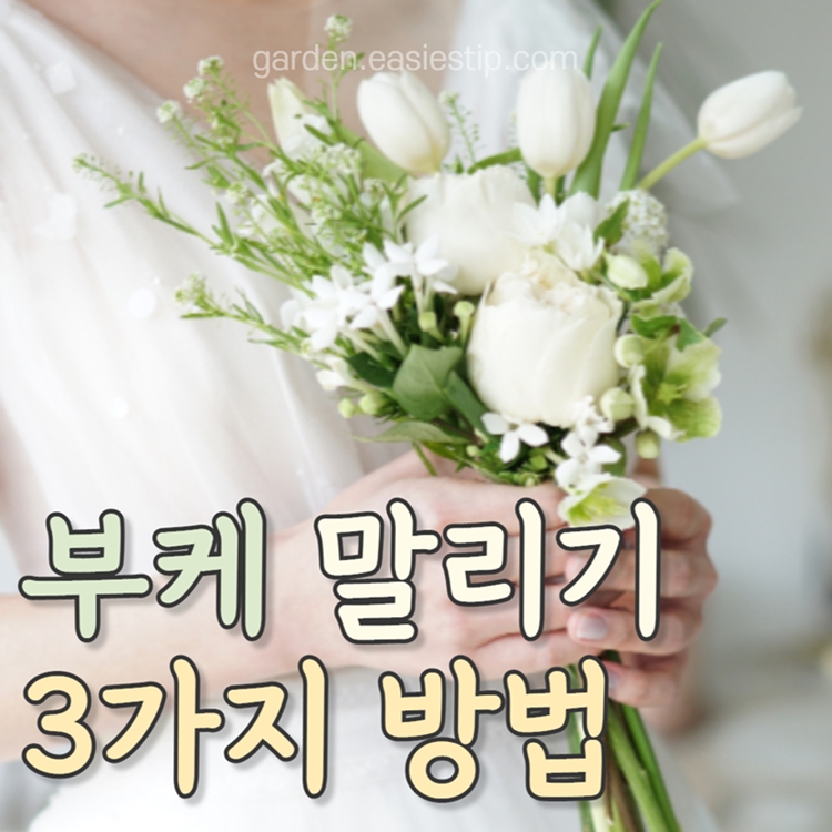 부케 말리는 방법