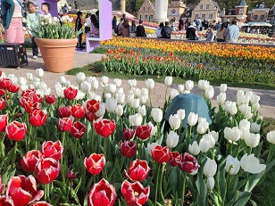 에버랜드 스마트줄서기